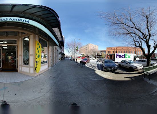 north-carolina/hendersonville/attraction/aquarium-shark-lab-by-team-ecco