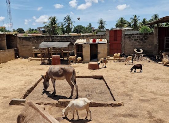 togo/koutammakou-area/attraction/fauna-cultura