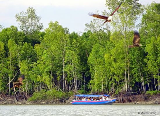 malaysia/selangor/attraction/nyc-tour-sky-mirror-kuala-selangor