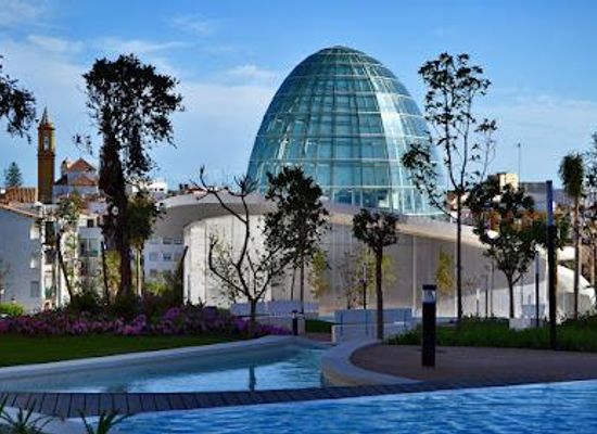 gibraltar/main-street/attraction/estepona-orchid-house