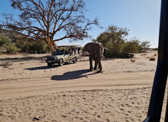 namibia/skeleton-coast/attraction/twyfelfontein-elephant-drives-campsite