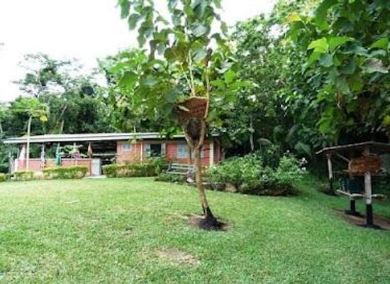 ghana/cape-coast/attraction/international-stingless-bee-centre