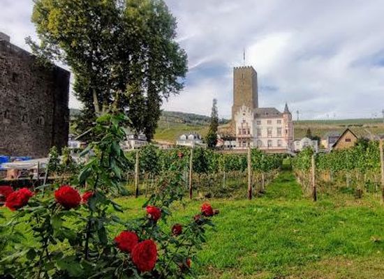 germany/hunsruck/attraction/rudesheim-am-rhein