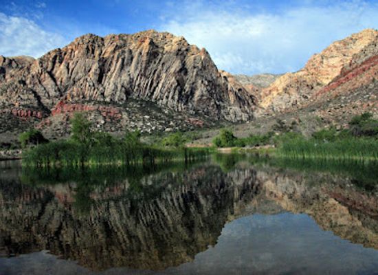nevada/great-basin/attraction/spring-mountain-ranch-state-park
