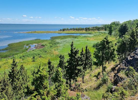 estonia/estonian-islands/attraction/uugu-cliff