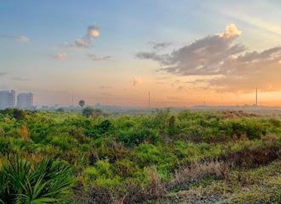 florida/treasure-coast/attraction/juno-beach