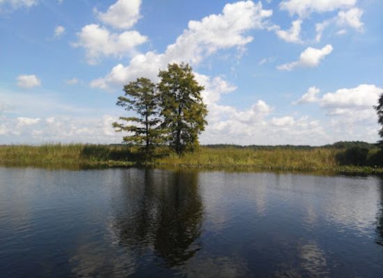 maryland/eastern-shore/attraction/hickory-point-natural-area