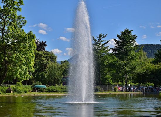 austria/klagenfurt/attraction/lotus-pond