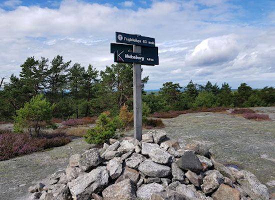 norway/ostfold/attraction/the-bird-game-lookout-tower