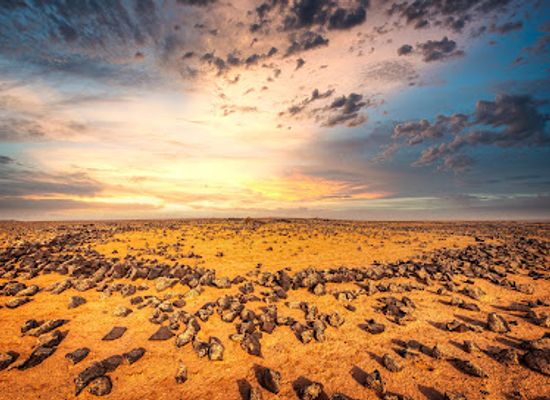 jordan/shawmari-wildlife-reserve/attraction/qasr-uweinid