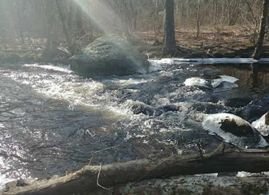 rhode-island/arcadia-management-area/attraction/arcadia