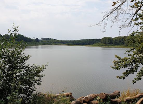 germany/westerwald/attraction/haidenweiher