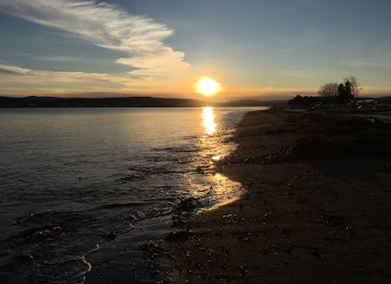 canada/forillon-national-park/attraction/la-taiga