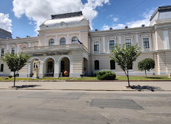 romania/vaslui/attraction/vasile-parvan-museum-barlad