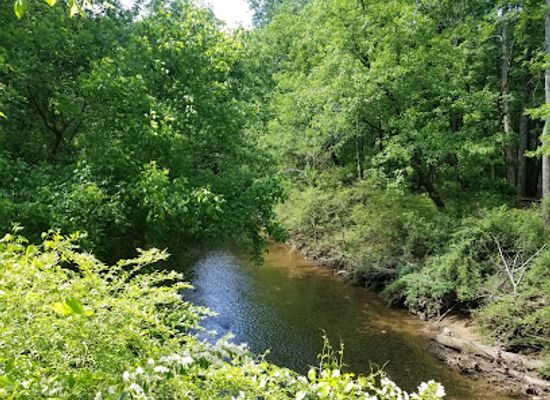 alabama/cahaba-river/attraction/mccallum-park