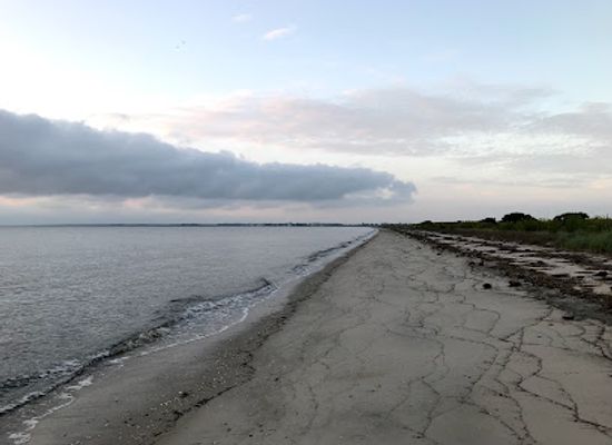 delaware/the-dover-metropolitan-area/attraction/little-creek-wildlife-area-logan-tract