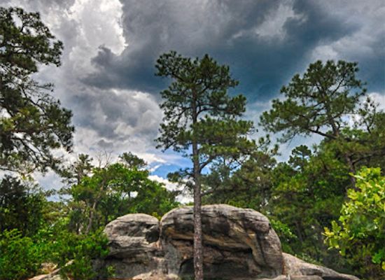 missouri/southeast-missouri/attraction/pickle-springs-natural-area