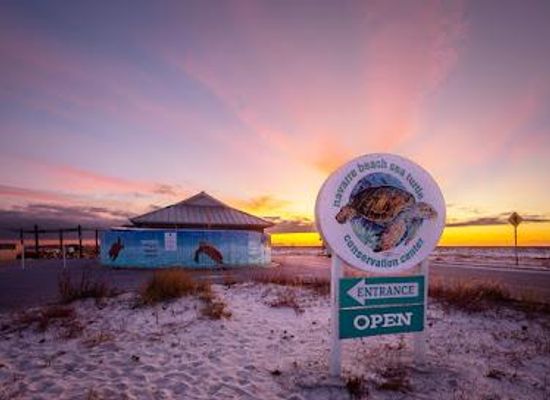 florida/fort-walton-beach/attraction/navarre-beach-sea-turtle-conservation-center