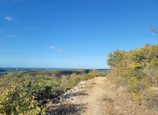 puerto-rico/cabo-rojo/attraction/guanica-state-forest
