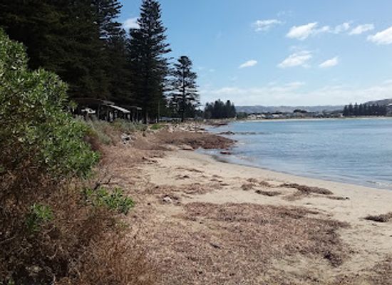 australia/fleurieu-peninsula/attraction/national-trust-museum