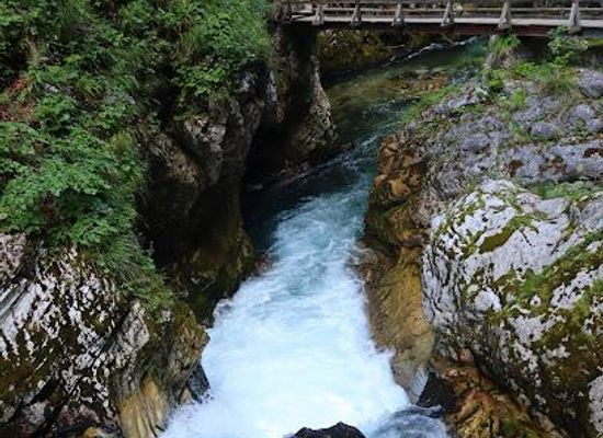 slovenia/bled/attraction/soteska-vintgar