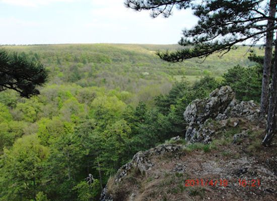 hungary/balaton-uplands-national-park/attraction/koloska-valley