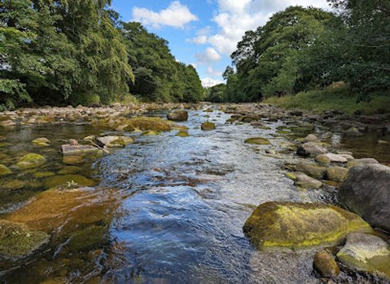 united-kingdom/northumberland/attraction/national-trust-allen-banks-and-staward-gorge