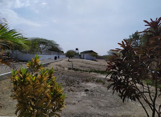 peru/tumbes/attraction/zoocriadero-de-cocodrilos
