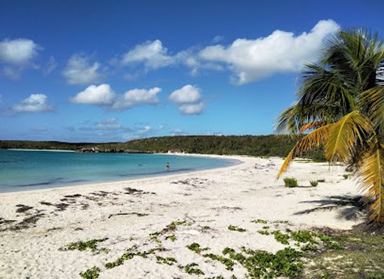 puerto-rico/vieques-island/attraction/caracas-beach