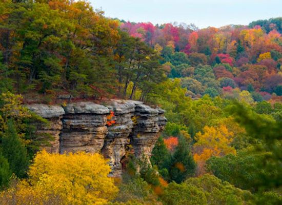 ohio/wayne-national-forest/attraction/conkles-hollow-state-nature-preserve