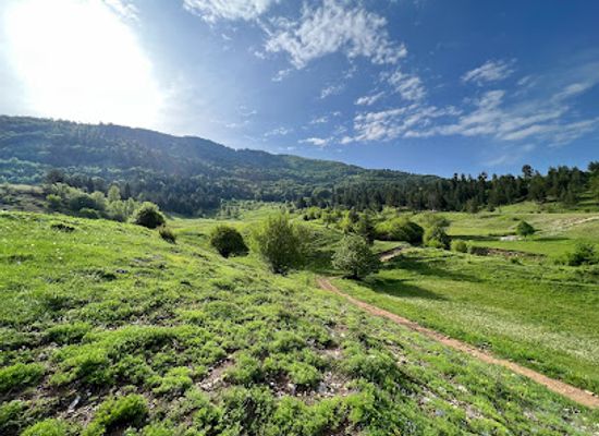 albania/lura-lakes/attraction/lura-national-park-albania