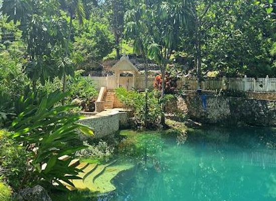 mauritius/black-river/attraction/blue-hole-gardens-roaring-river
