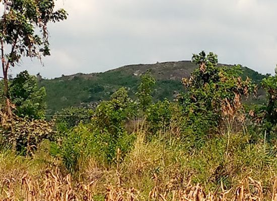kenya/lake-victoria-basin/attraction/nyangali-hills-rocks