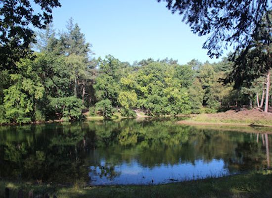 netherlands/achterhoek/attraction/bornia-utrechtslandschap