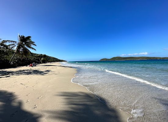 puerto-rico/culebra-island/attraction/zoni-beach
