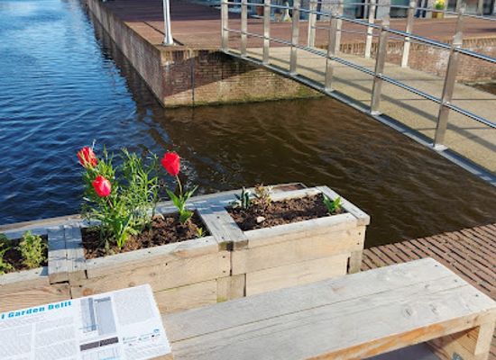 netherlands/delft/attraction/quay-wall-garden-delft