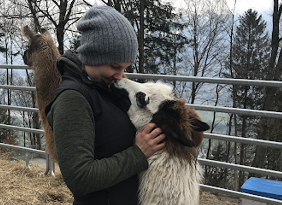 liechtenstein/gnalp-trail/attraction/lama-alpakahof-triesenberg