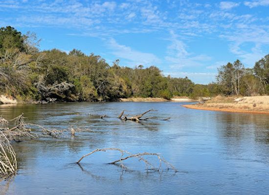 louisiana/northshore/attraction/bogue-chitto-state-park