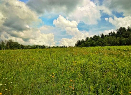 massachusetts/berkshires/attraction/questing