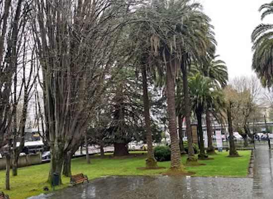 chile/temuco/attraction/museo-regional-de-la-araucania