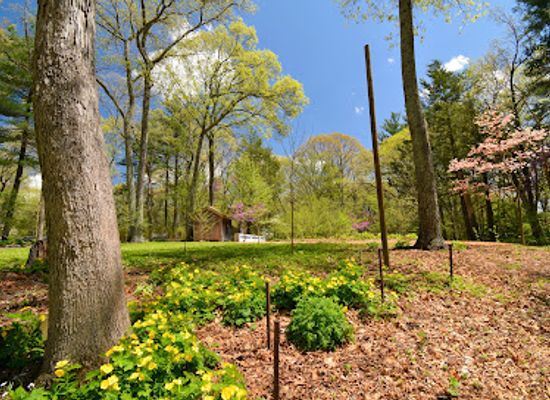 massachusetts/central-massachusetts/attraction/garden-in-the-woods