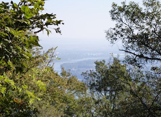 austria/wachau/attraction/pemexel