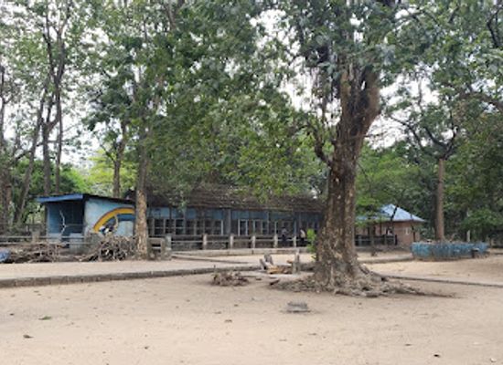 nigeria/owu-forest-reserve/attraction/port-harcourt-zoo