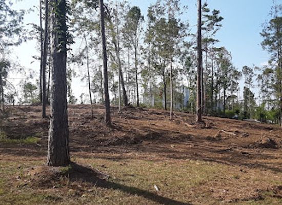 florida/panhandle/attraction/judge-s-cave-wildlife-environmental-area