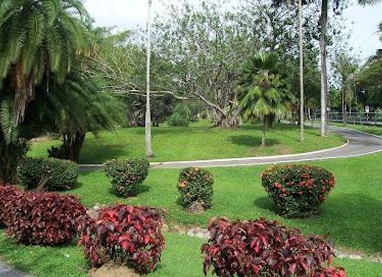 trinidad-and-tobago/arima/attraction/royal-botanic-gardens