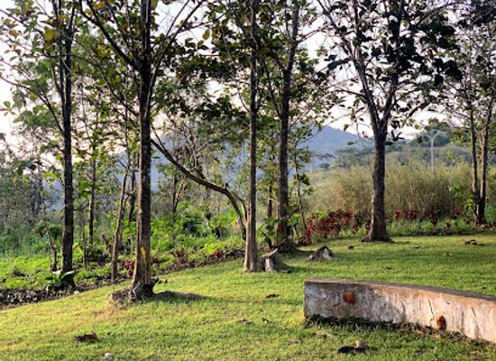 togo/kpalime/attraction/foret-de-missahohoe