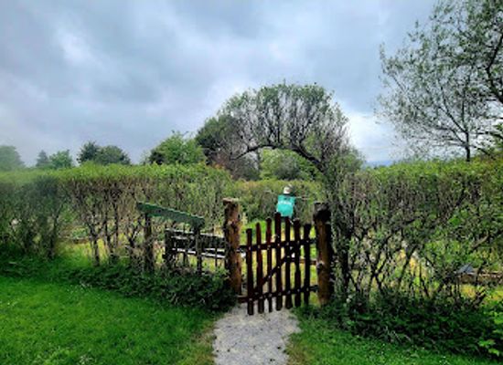 ireland/ring-of-kerry/attraction/garden-of-the-senses
