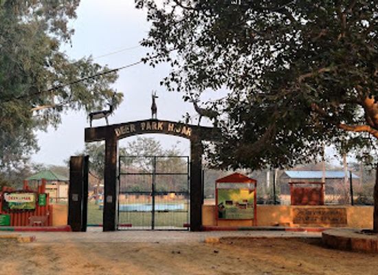 india/haryana/attraction/deer-park