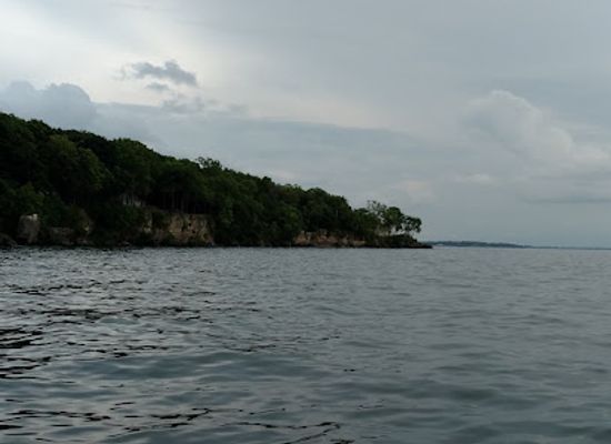 ohio/lake-erie-islands/attraction/jane-coates-wildflower-trail