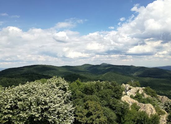 bulgaria/upper-thracian-plain/attraction/the-deaf-stones